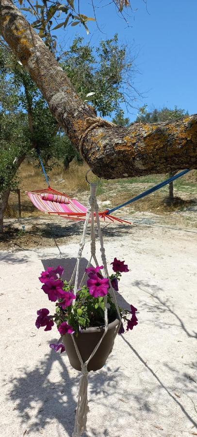 Lily Home_Lefkada ~ Private Country House Kondaraina Exterior photo