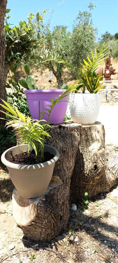 Lily Home_Lefkada ~ Private Country House Kondaraina Exterior photo